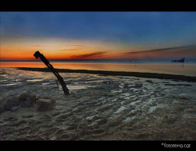 sol  alone delta de lebre.jpg